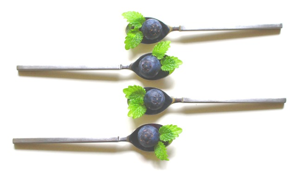 Melisse-Heidelbeer-Eissticks