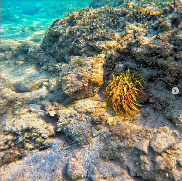 Tauchen - mehr als nur ein Hobby